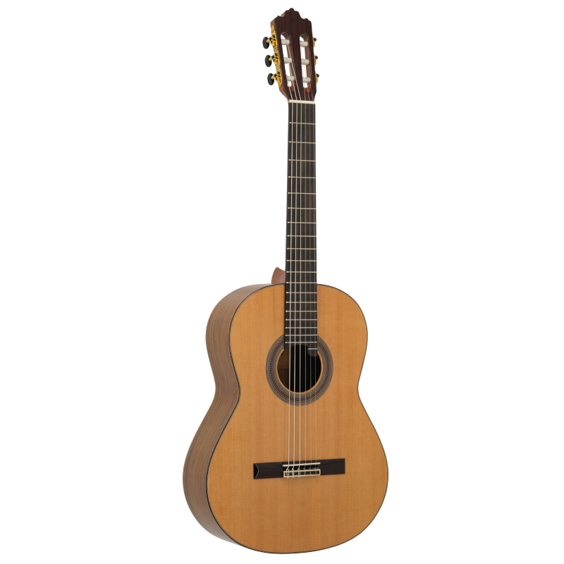 Prodipe Guitars Soloist 900 4/4 - gitara klasyczna