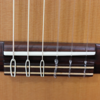 Prodipe Guitars Student LH 4/4 - gitara klasyczna leworęczna