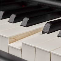 YAMAHA P515 WH