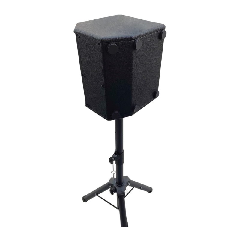Wzmacniacz do instrumentów Acemic Q5