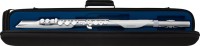 ROLAND AE-BRISA AEROPHONE CYFROWY INSTRUMENT DĘTY