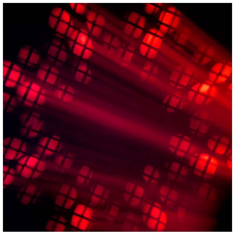 LIGHT4ME BSW 280 głowica ruchoma beam spot wash