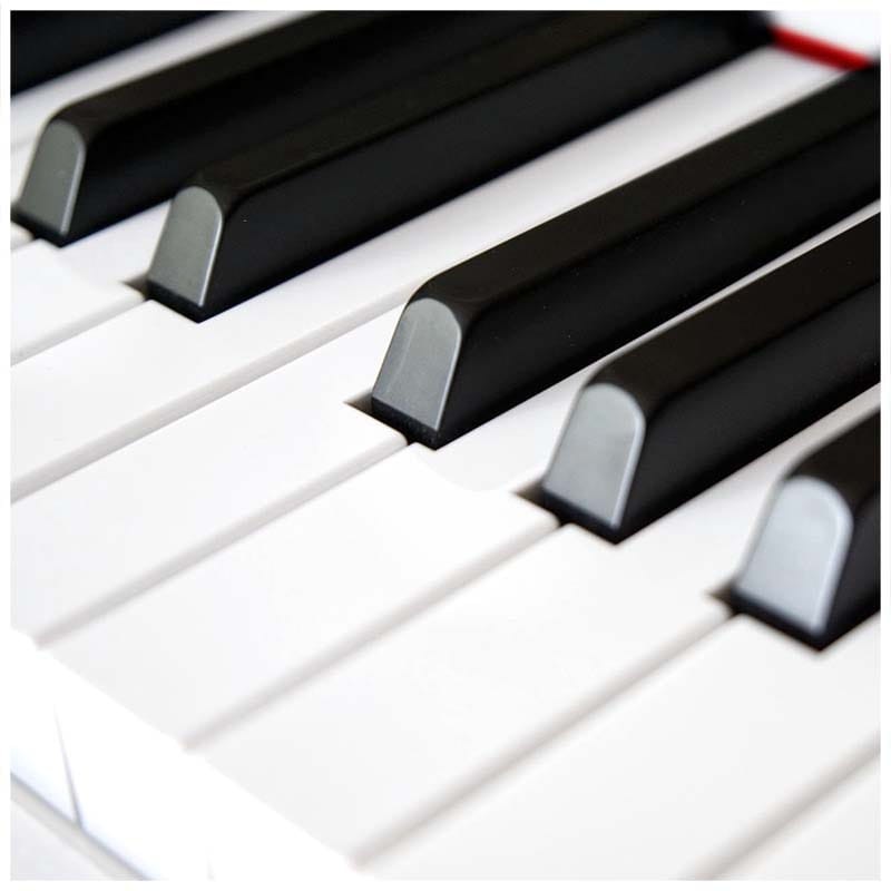 V-TONE BL-8808 WH pianino cyfrowe do nauki USB MID