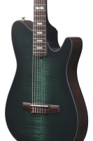 IBANEZ FRH20FMN-DGL