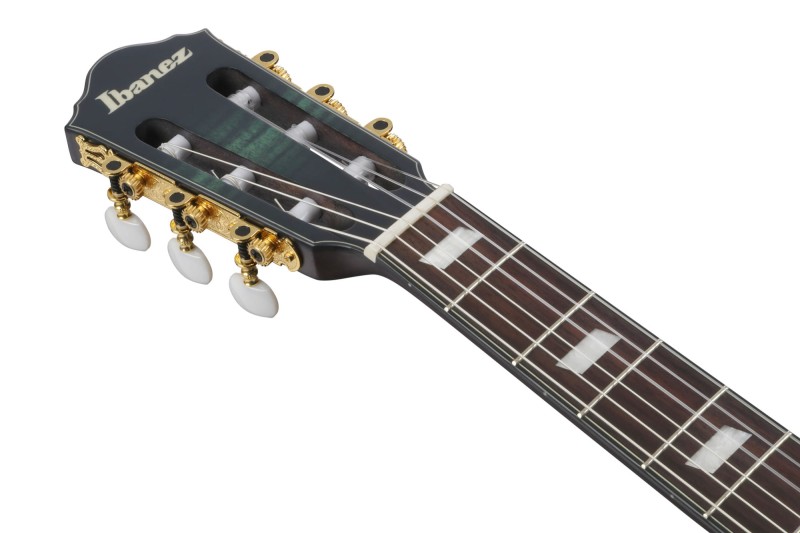 IBANEZ FRH20FMN-DGL