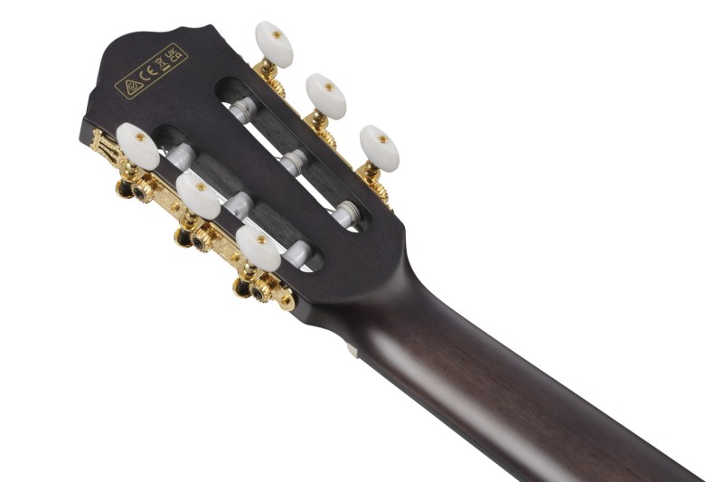 IBANEZ FRH20FMN-DGL