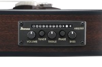 IBANEZ FRH20FMN-DGL