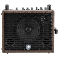 Prodipe Traveler 6 - combo akustyczne 120W