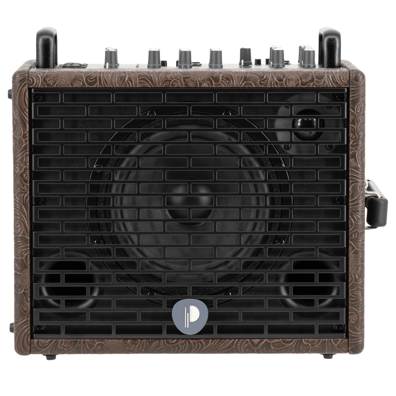 Prodipe Traveler 6 - combo akustyczne 120W