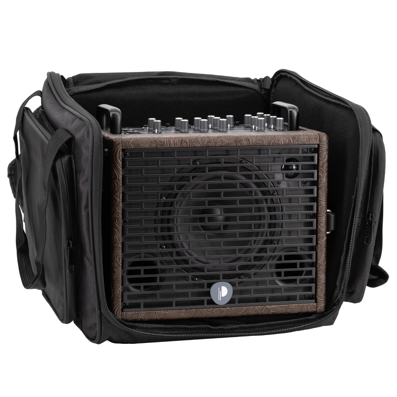 Prodipe Traveler 6 - combo akustyczne 120W