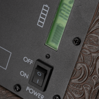 Prodipe Traveler 6 - combo akustyczne 120W