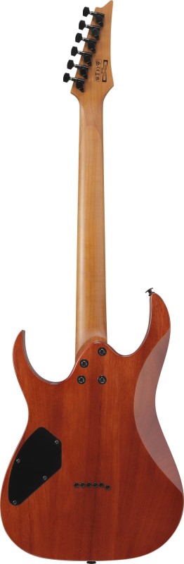 IBANEZ GRGR221FA-TDK