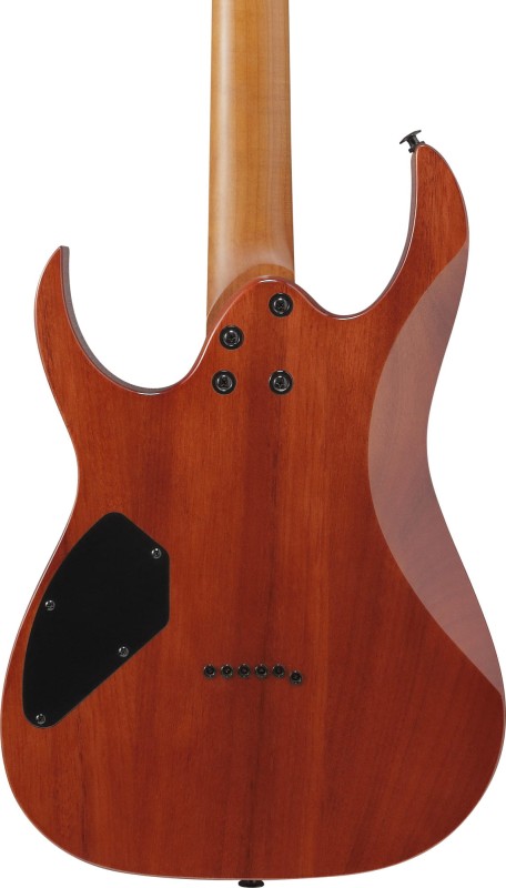 IBANEZ GRGR221FA-TDK