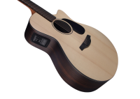 FURCH VIOLET GC-ER A LR BAGGS ACTIVE
