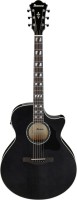 IBANEZ AE170-TBK
