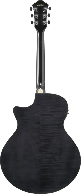 IBANEZ AE170-TBK