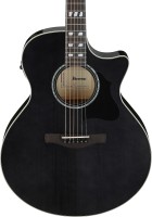 IBANEZ AE170-TBK