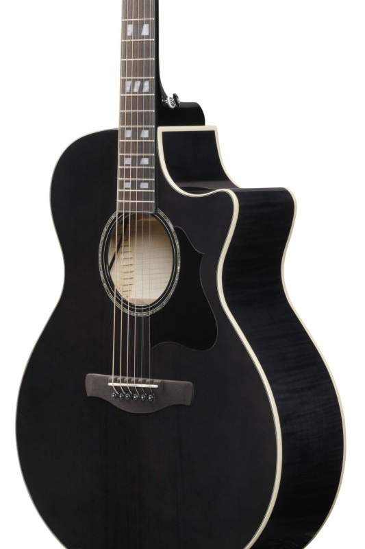 IBANEZ AE170-TBK