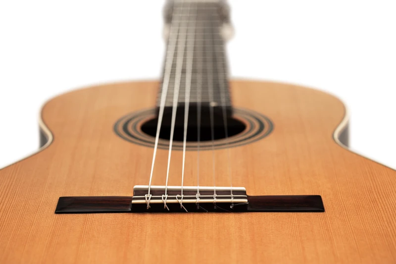 ORTEGA R19S GITARA KLASYCZNA 4/4