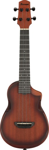 IBANEZ AUC14-OVL SKLEP MUZYCZNY DEMO.jpg