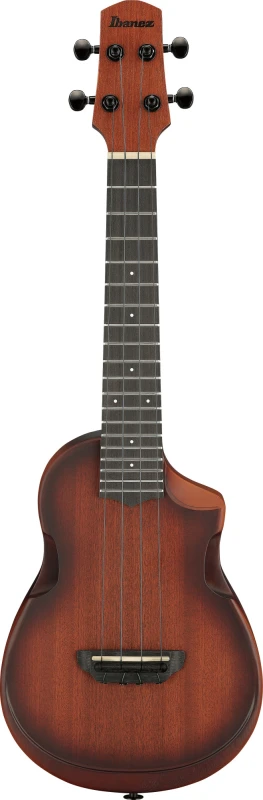 IBANEZ AUC14-OVL SKLEP MUZYCZNY DEMO.jpg