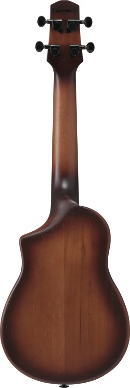 IBANEZ AUC14-OVL SKLEP MUZYCZNY DEMO_3.jpg