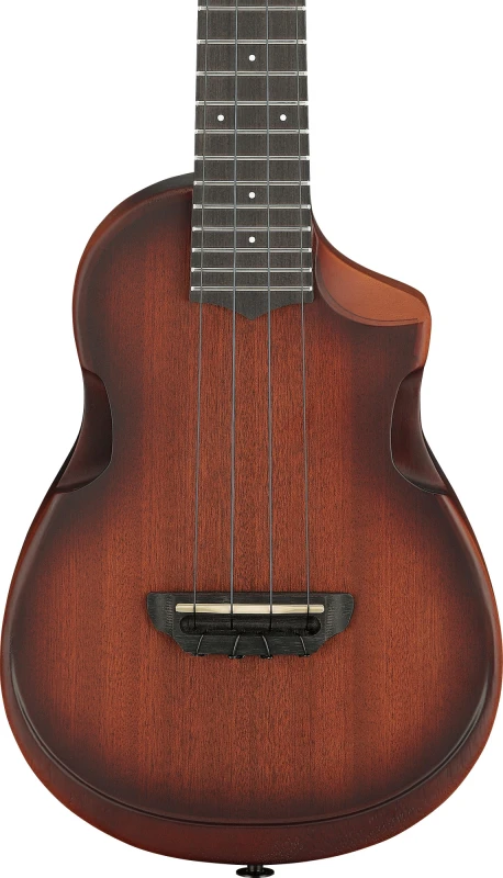 IBANEZ AUC14-OVL SKLEP MUZYCZNY DEMO_4.jpg