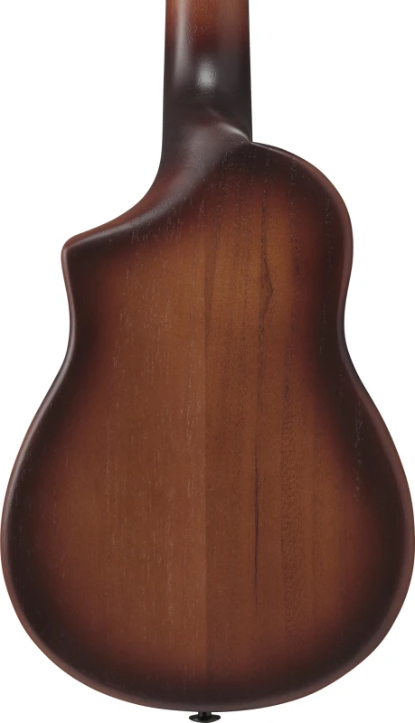 IBANEZ AUC14-OVL SKLEP MUZYCZNY DEMO_5.jpg