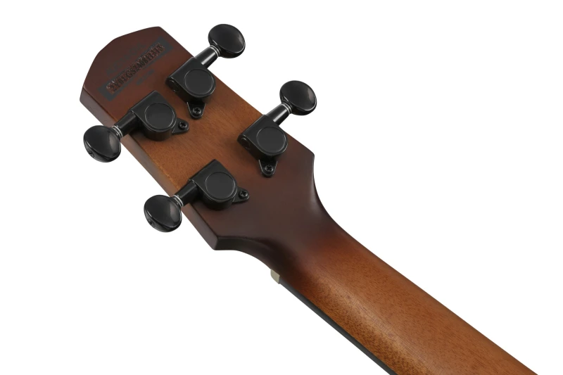 IBANEZ AUC14-OVL SKLEP MUZYCZNY DEMO_9.jpg