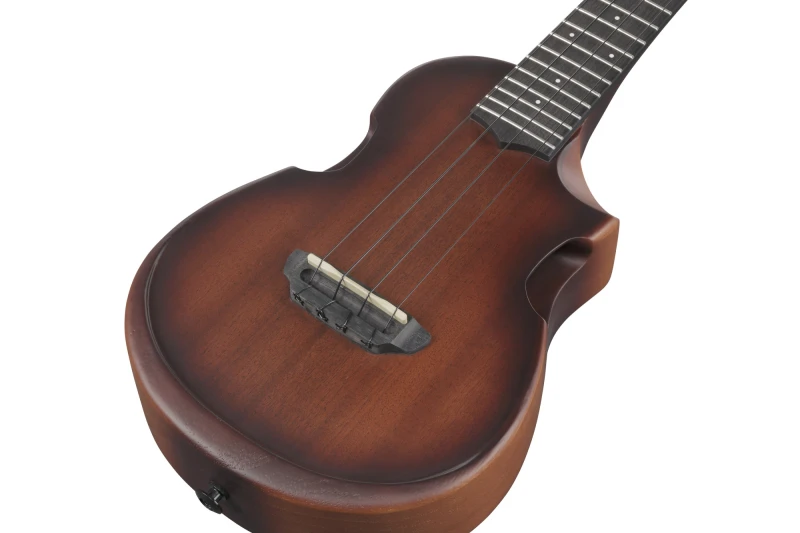 IBANEZ AUC14-OVL SKLEP MUZYCZNY DEMO_11.jpg