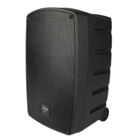 V-TONE BQ12 GO MP3 KOLUMNA AKTYWNA AKUMULATOR BLUETOOTH TWS USB SD DSP AUX MIKROFONY