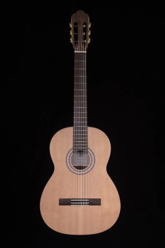 Prodipe Guitars Primera 4/4 LH - gitara klasyczna, leworęczna