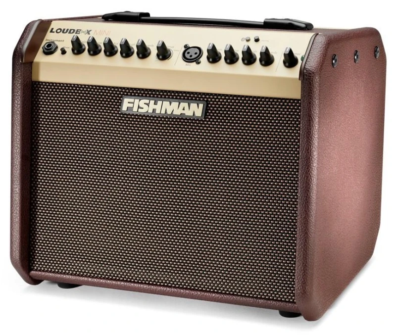 FISHMAN LOUDBOX MINI BLUETOOTH.jpg