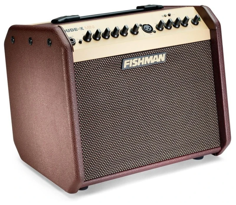 FISHMAN LOUDBOX MINI BLUETOOTH_3.jpg