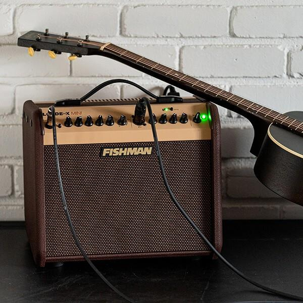 FISHMAN LOUDBOX MINI BLUETOOTH_7.jpg