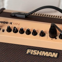 FISHMAN LOUDBOX MINI BLUETOOTH_8.jpg