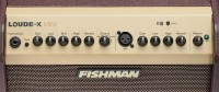 FISHMAN LOUDBOX MINI BLUETOOTH_9.jpg