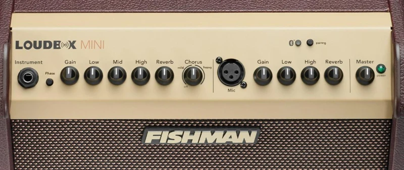 FISHMAN LOUDBOX MINI BLUETOOTH_9.jpg