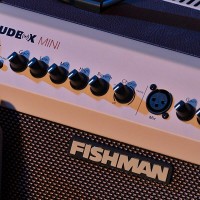 FISHMAN LOUDBOX MINI BLUETOOTH_10.jpg