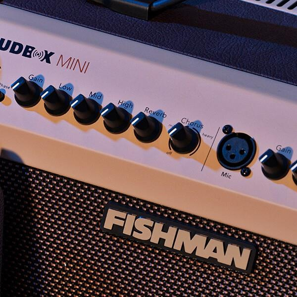 FISHMAN LOUDBOX MINI BLUETOOTH_10.jpg