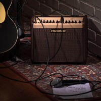 FISHMAN LOUDBOX MINI BLUETOOTH_11.jpg