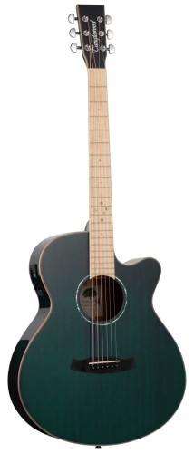 TANGLEWOOD TW4 CE BLA.jpg