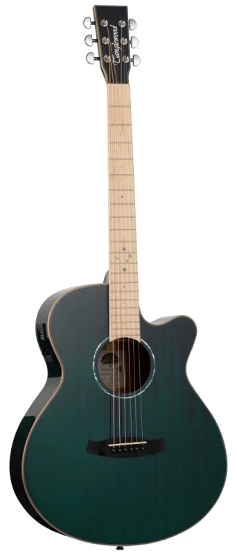 TANGLEWOOD TW4 CE BLA.jpg