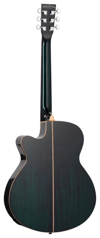 TANGLEWOOD TW4 CE BLA_2.jpg