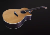 FURCH GREEN GC-TR A 2006 LR BAGGS ANTHEM GITARA ELEKTROAKUSTYCZNA GIGBAG