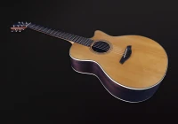 FURCH GREEN GC-TR A 2006 LR BAGGS ANTHEM GITARA ELEKTROAKUSTYCZNA GIGBAG