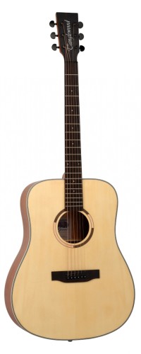 tanglewood ts5.jpg