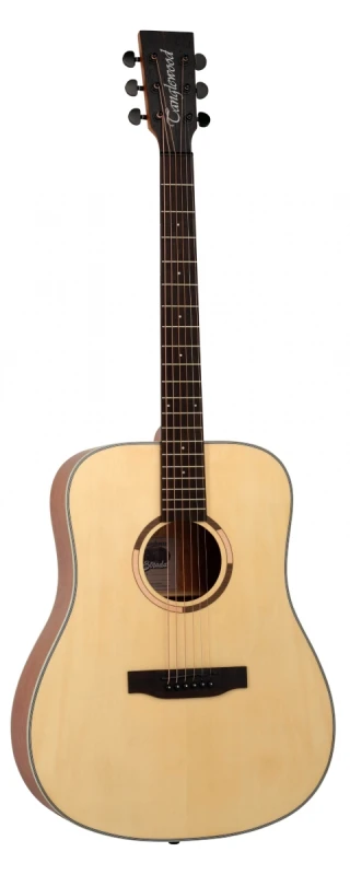 tanglewood ts5.jpg