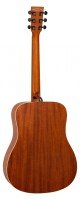 tanglewood ts5_2.jpg