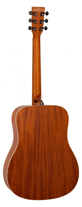 tanglewood ts5_2.jpg